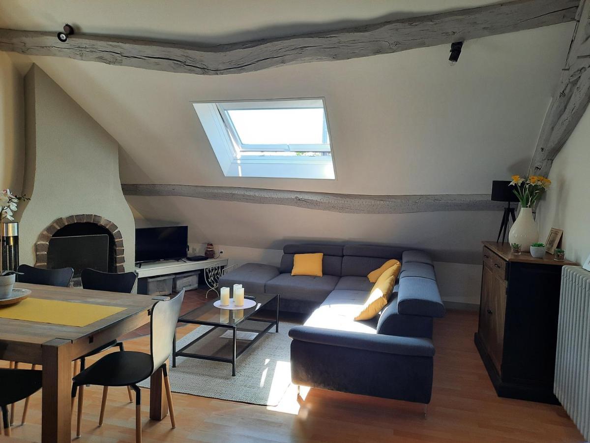 Grand Appartement Tout Confort Proche De Chambord Saint-Claude-de-Diray ภายนอก รูปภาพ